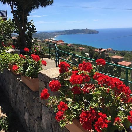 كابريولي Villa Incanto B&B المظهر الخارجي الصورة