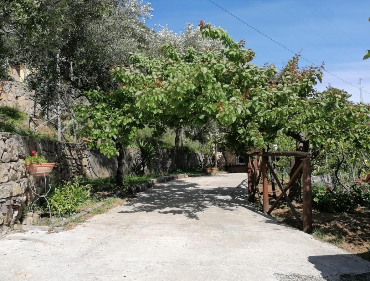 كابريولي Villa Incanto B&B المظهر الخارجي الصورة