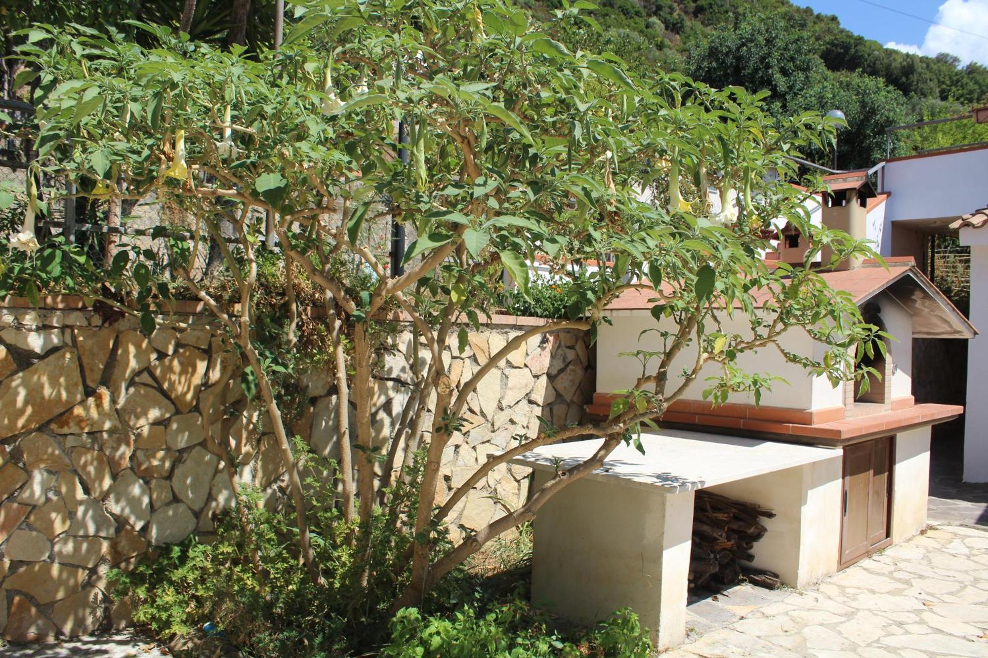 كابريولي Villa Incanto B&B المظهر الخارجي الصورة
